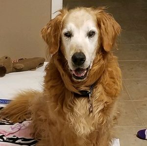 Meet your Posher, Tamara